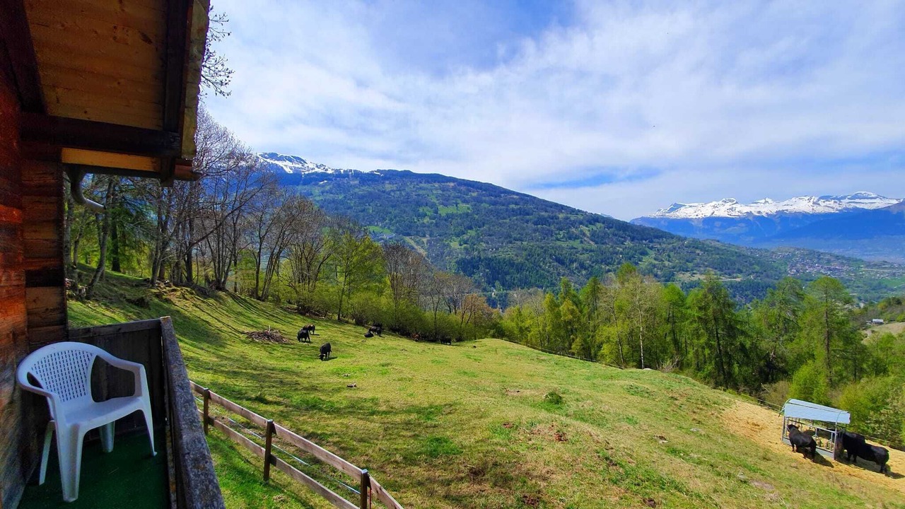 Photo of Outdoor in Saint-Martin