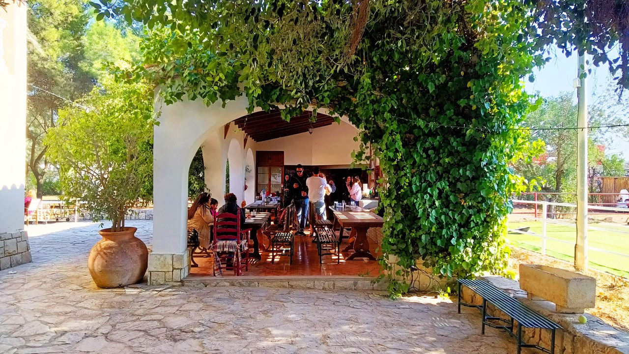 Photo of Outdoor in Playa de San Juan