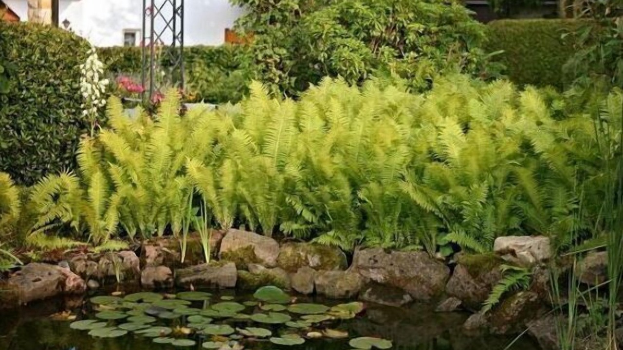 Photo of Outdoor in Motten
