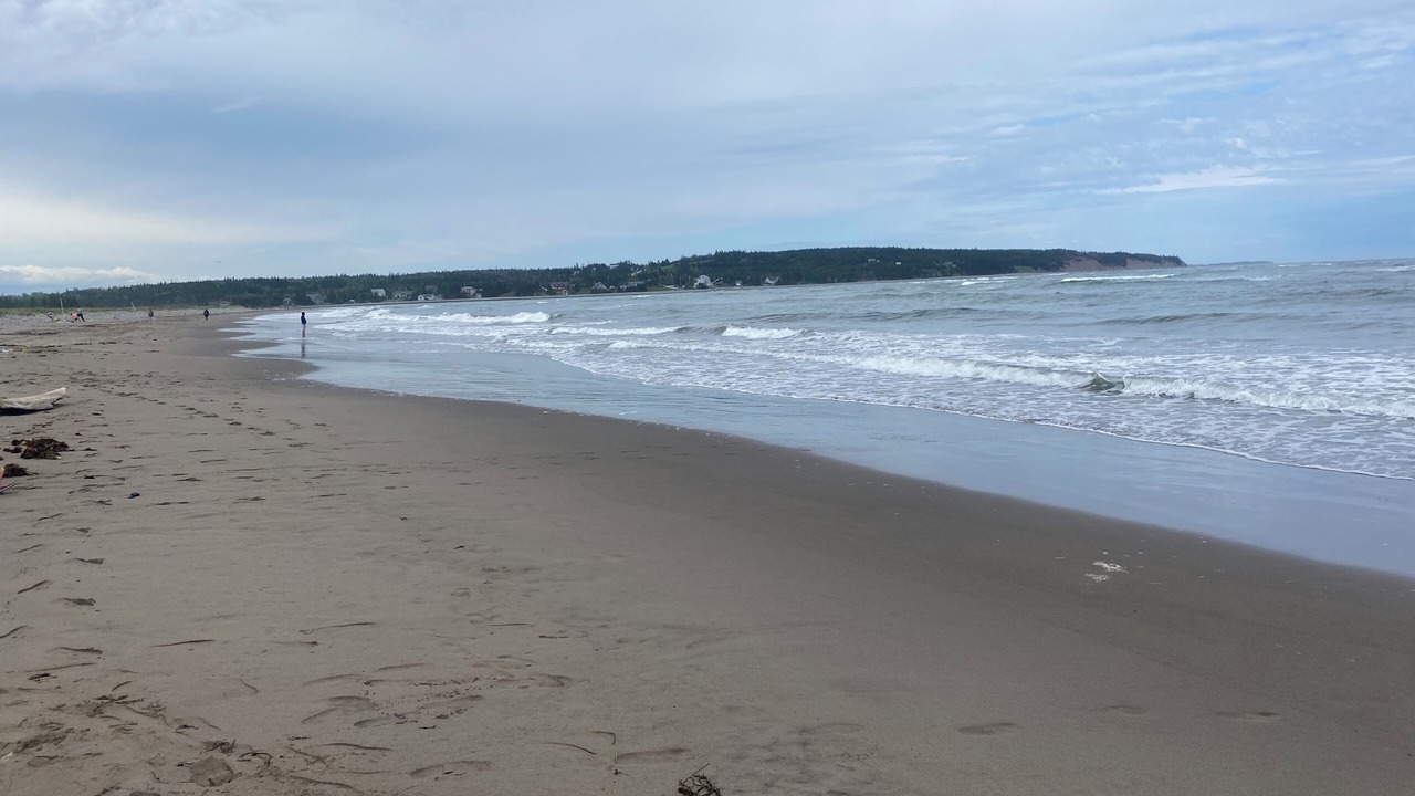 Photo of Others in Sheet Harbour