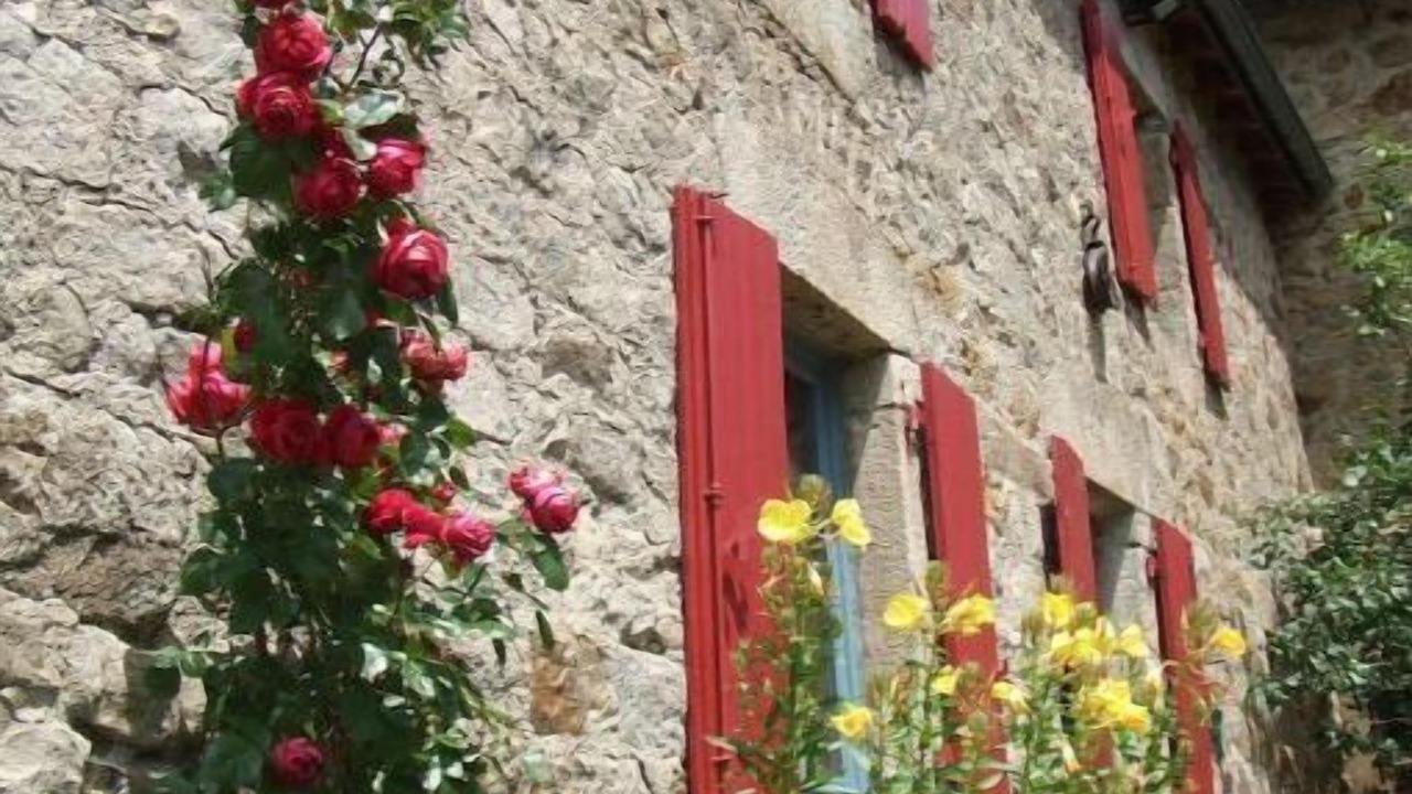 Photo of Outdoor in Saint-Andre-en-Vivarais
