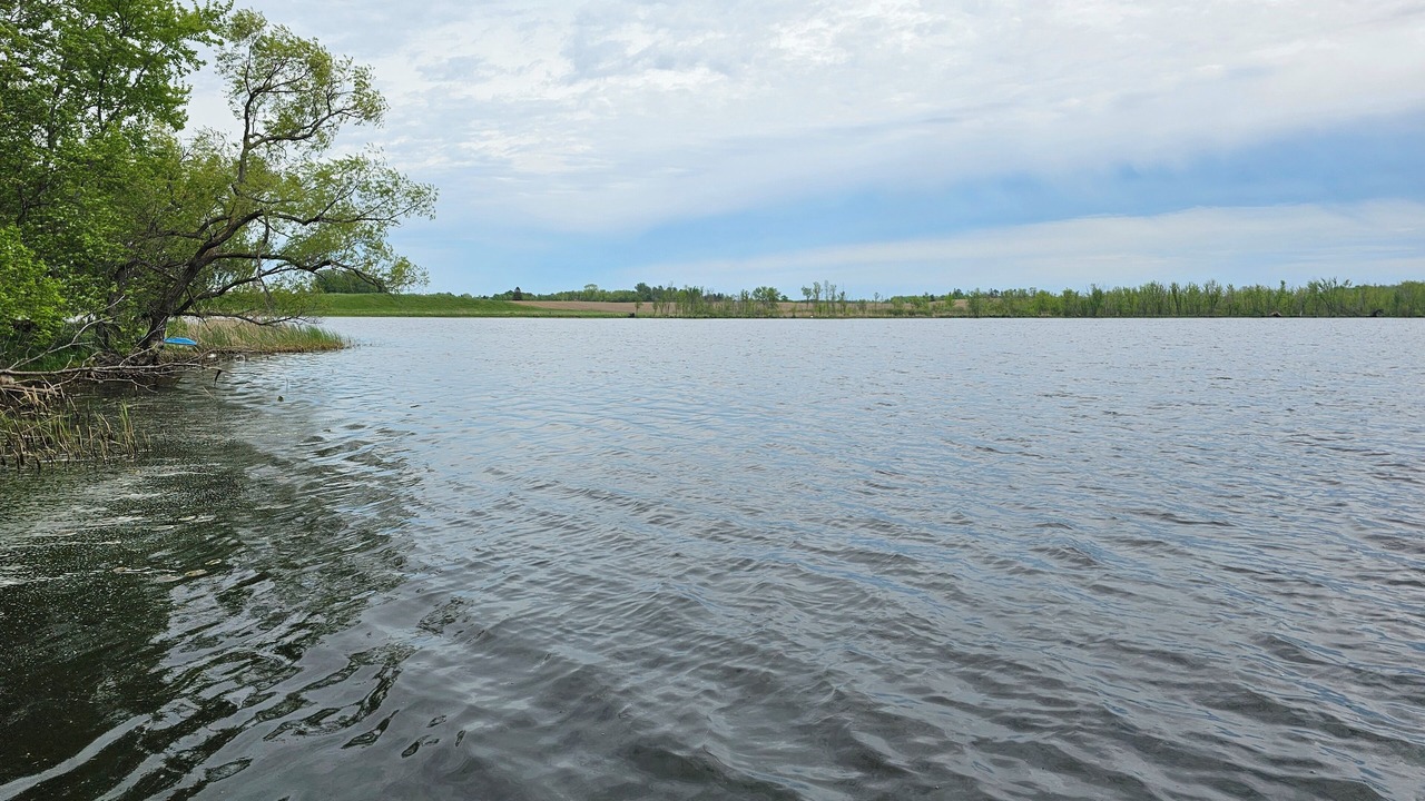 Photo of Others in Pine City