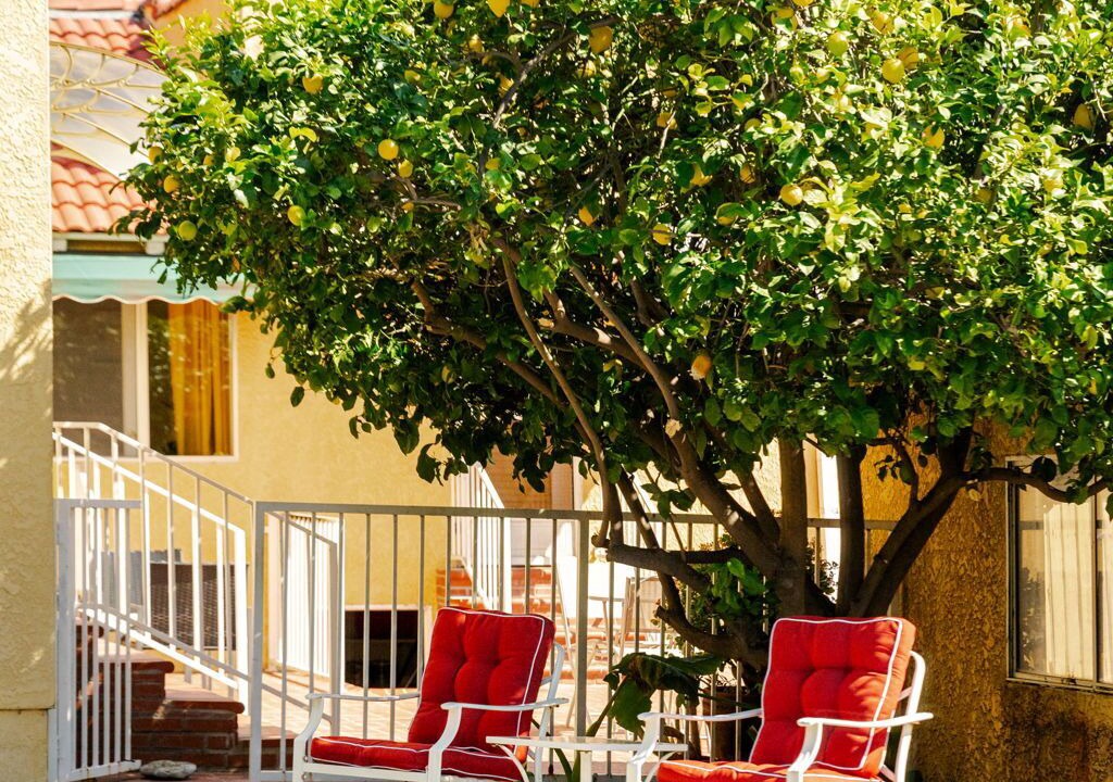 Photo of Outdoor in Verdugo Viejo