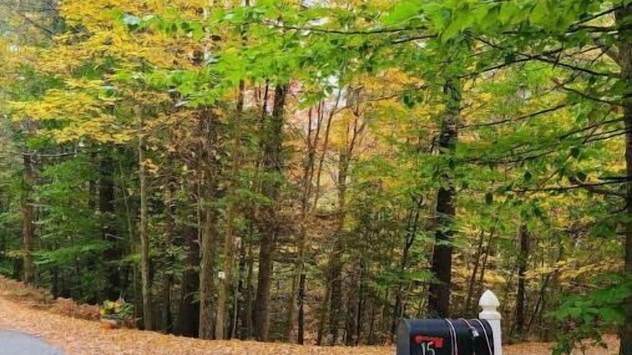 Photo of Outdoor in Deering