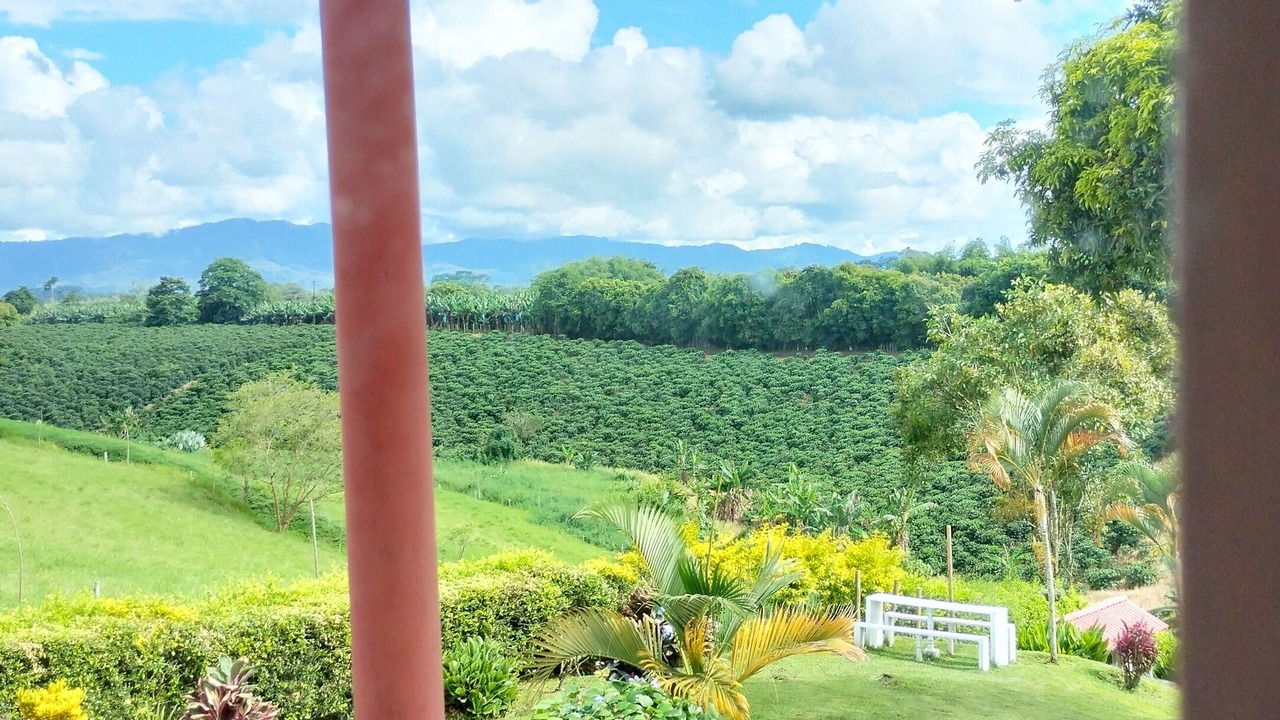 Photo of Outdoor in Pueblo Tapao