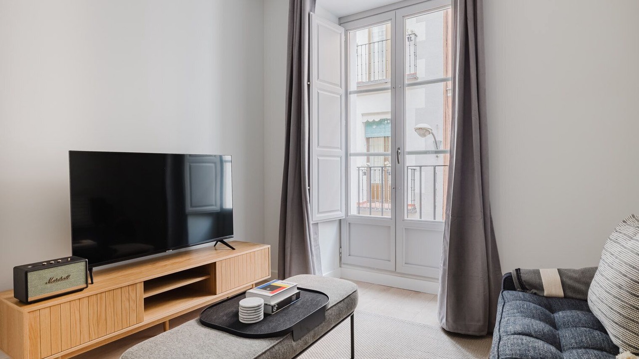Photo of Livingroom in Malasana