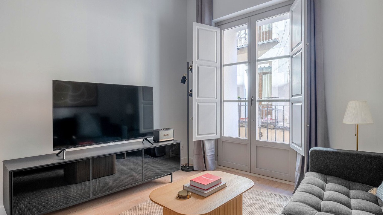 Photo of Livingroom in Malasana