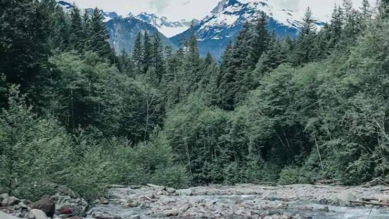 Photo of Others in Squamish