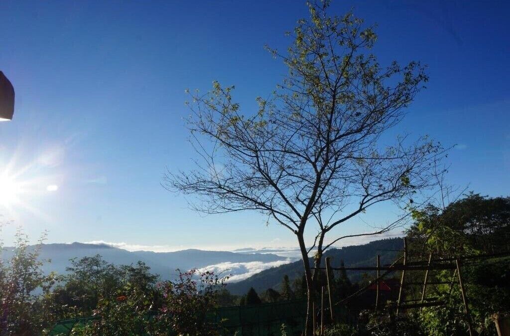 Photo of Outdoor in Ilam