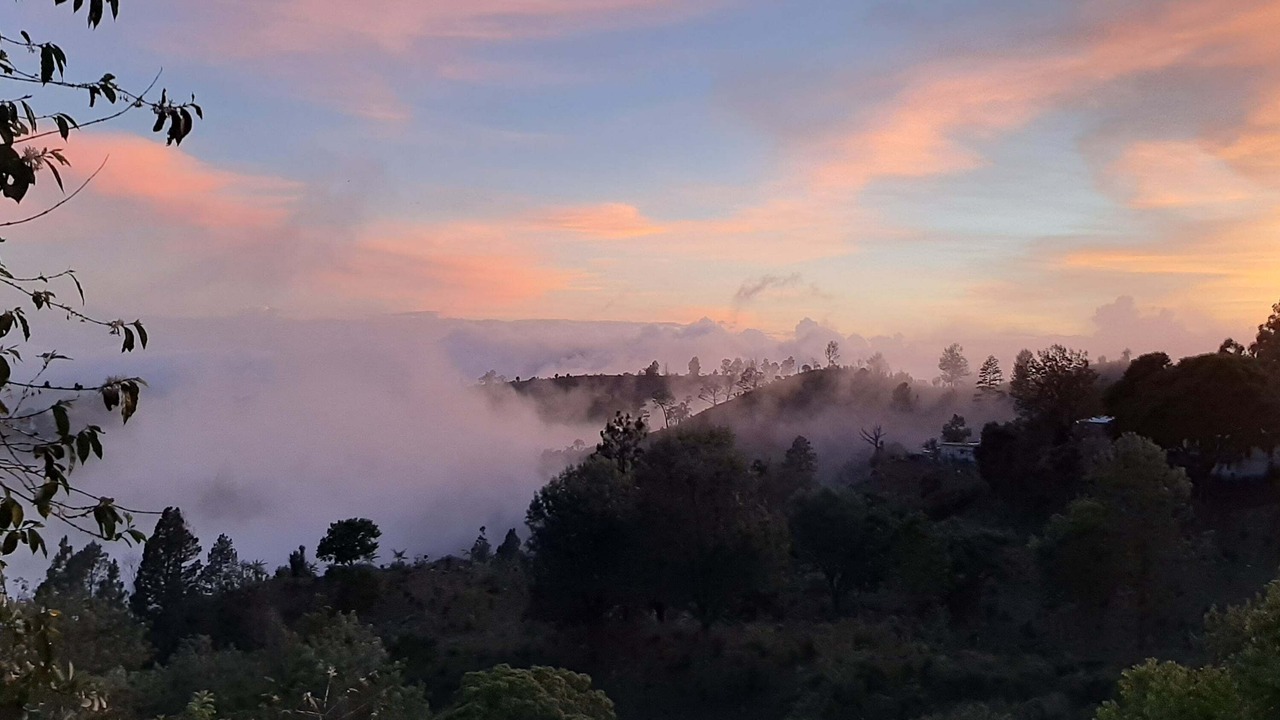 Photo of Outdoor in Gordon Town
