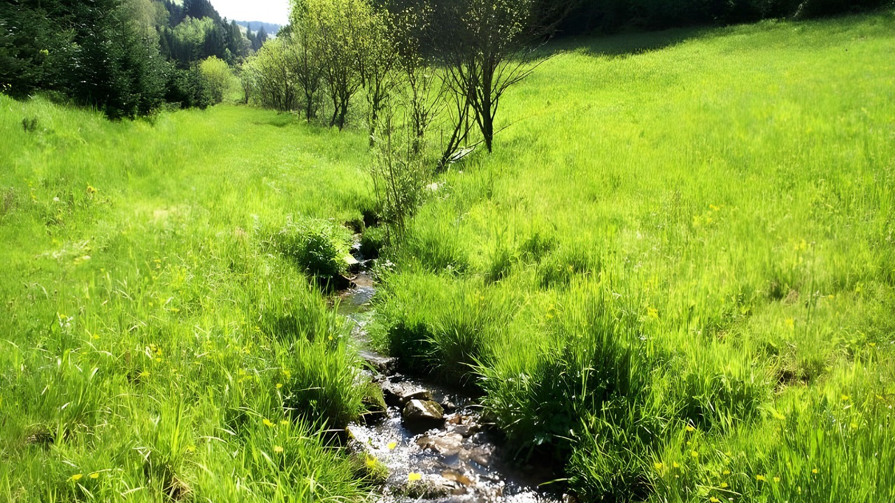 Photo of Others in Zell am Harmersbach