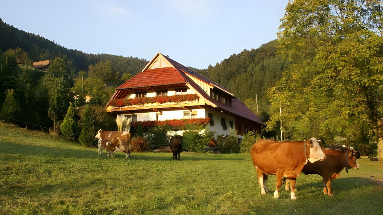 Photo of Others in Zell am Harmersbach