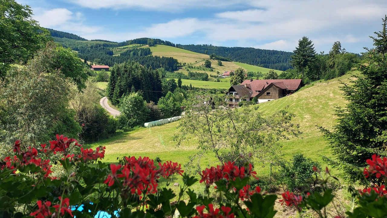 Photo of Outdoor in Zell am Harmersbach