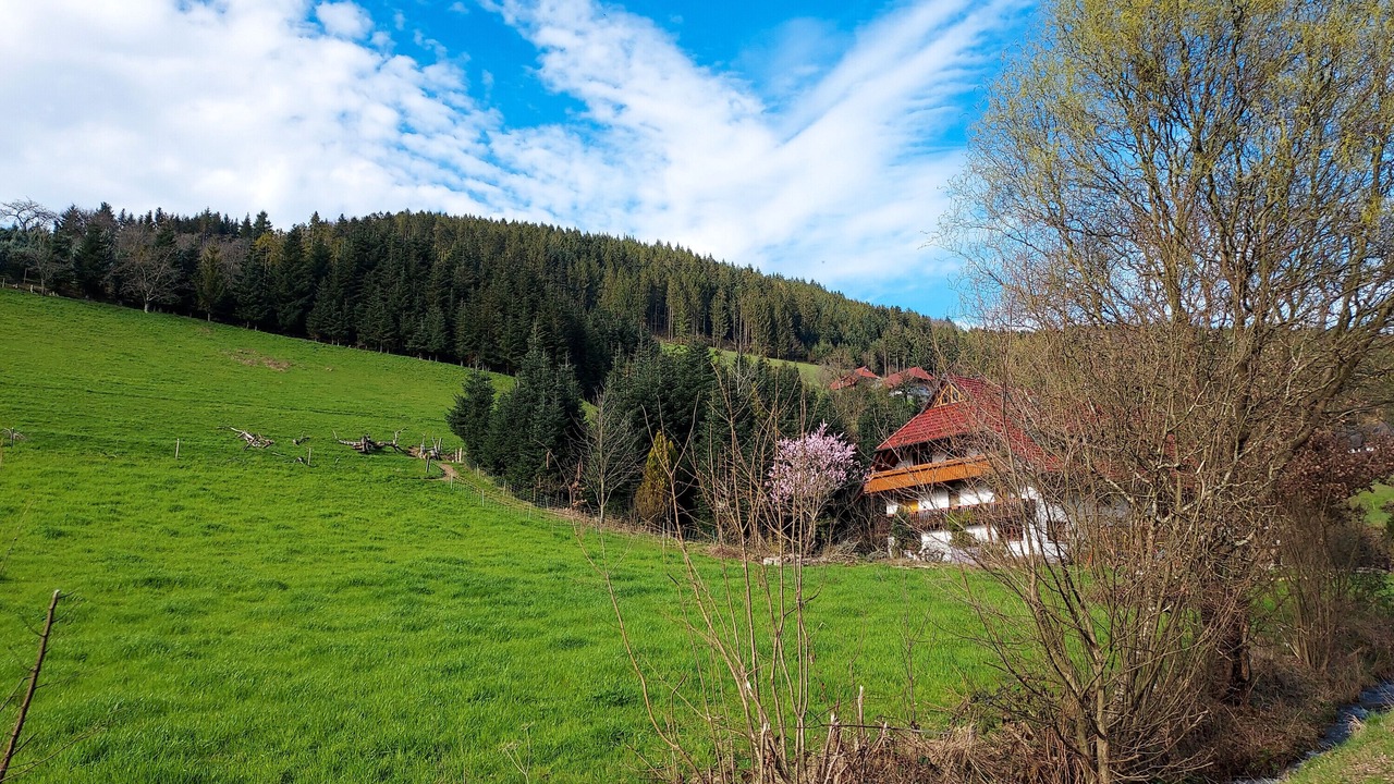 Photo of Outdoor in Zell am Harmersbach