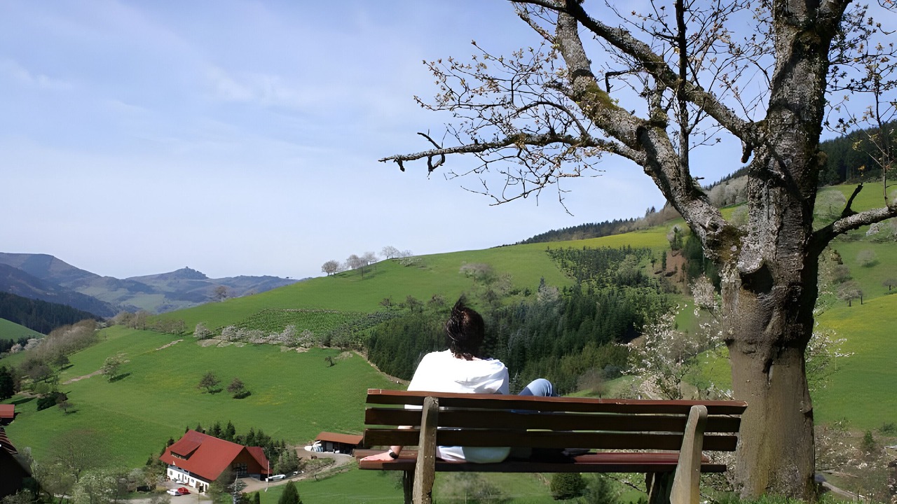 Photo of Outdoor in Zell am Harmersbach
