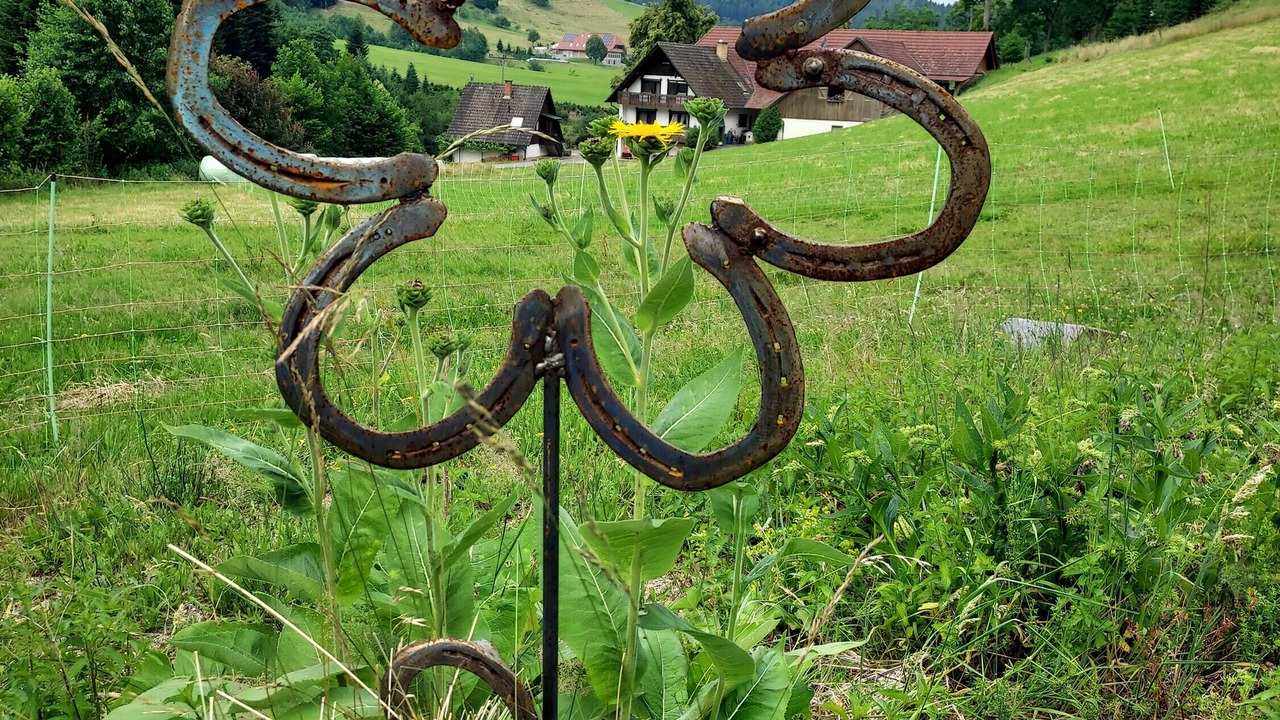 Photo of Outdoor in Zell am Harmersbach