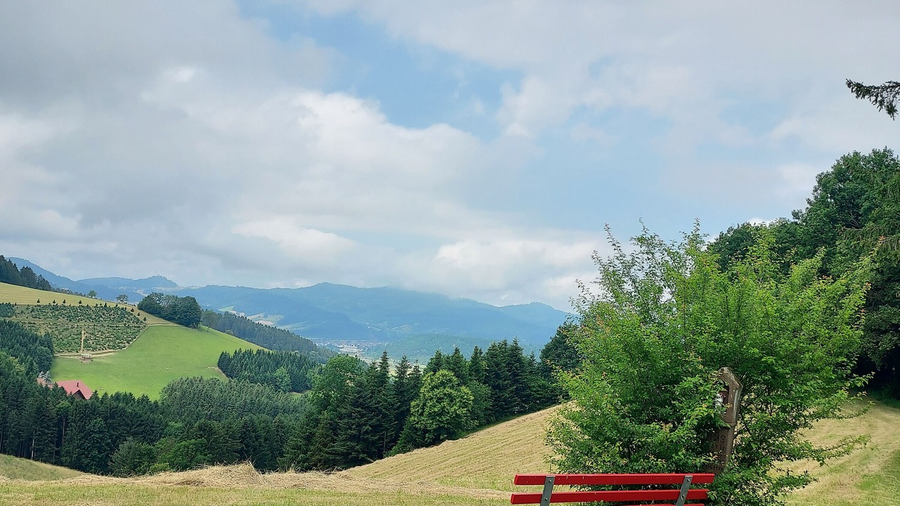 Photo of Others in Zell am Harmersbach