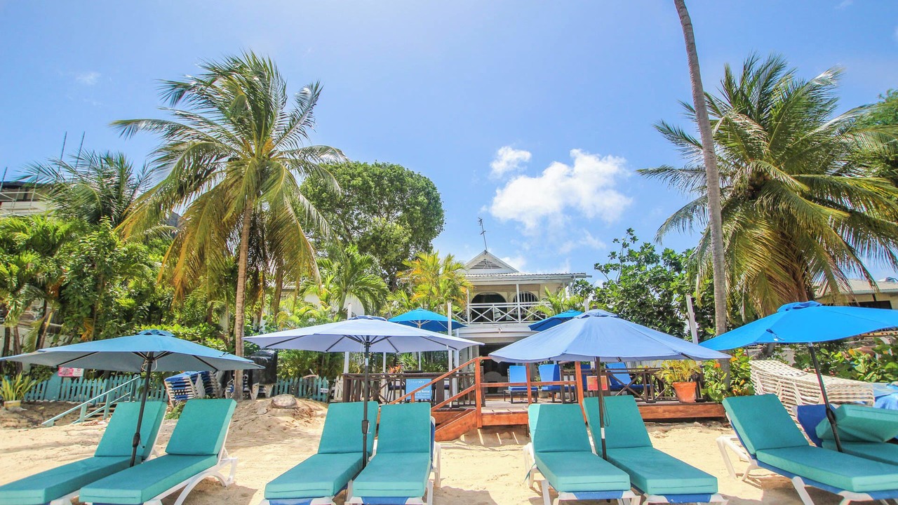 Photo of Outdoor in Old Trees Bay