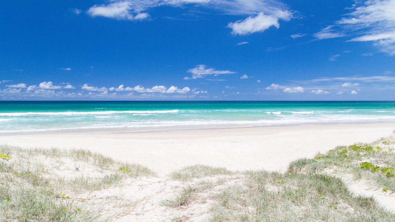Photo of Others in Casuarina