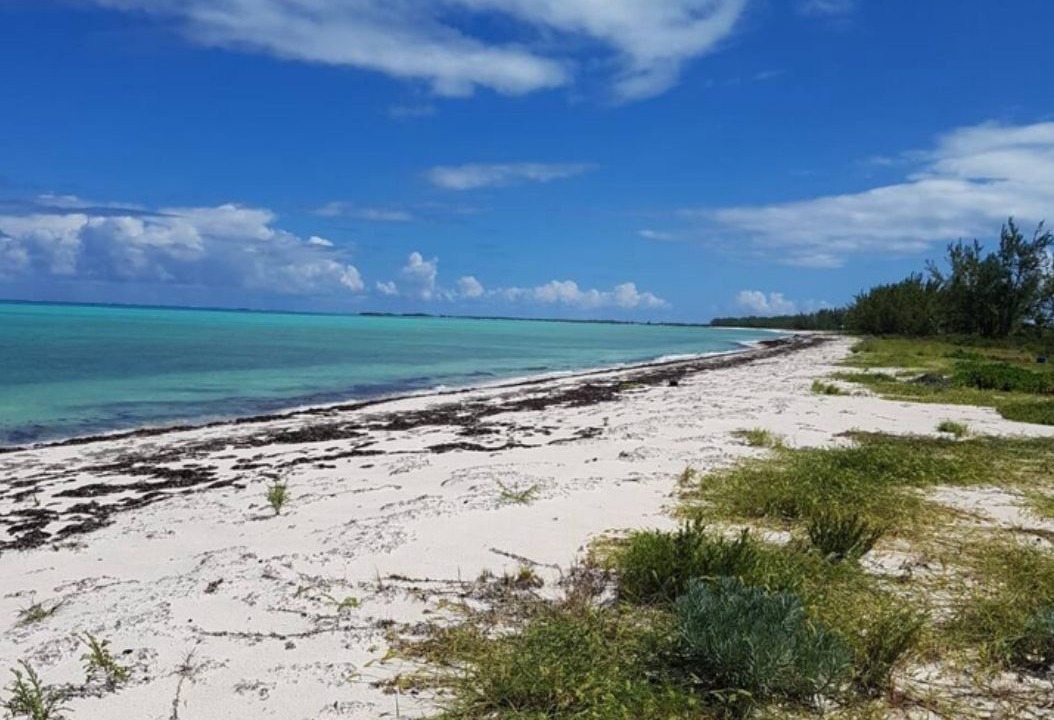 Photo of Others in Middle Caicos