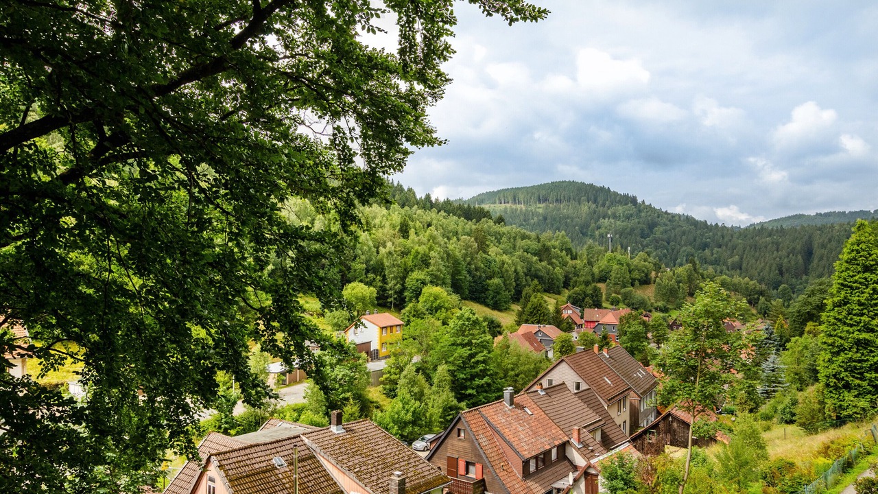Photo of Outdoor in Lautenthal