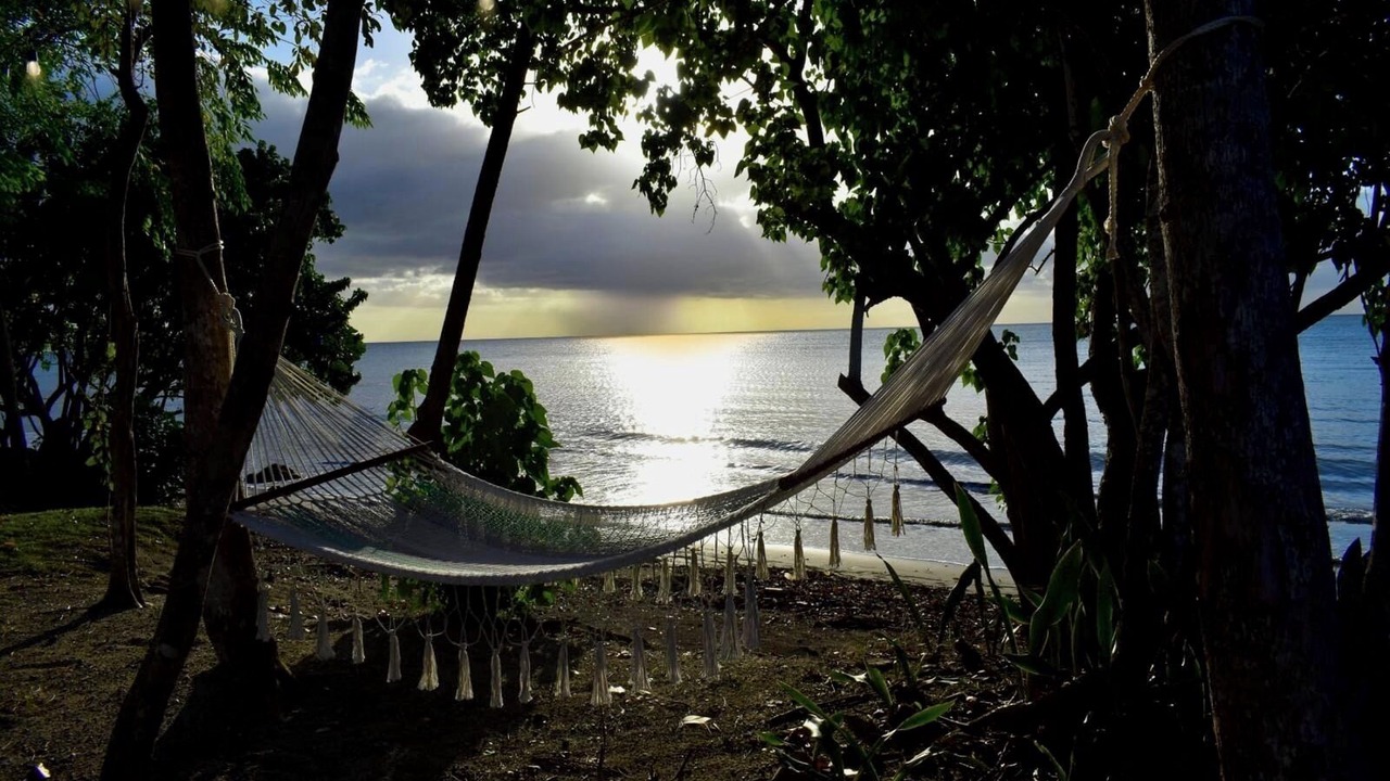 Photo of Others in Guanajibo