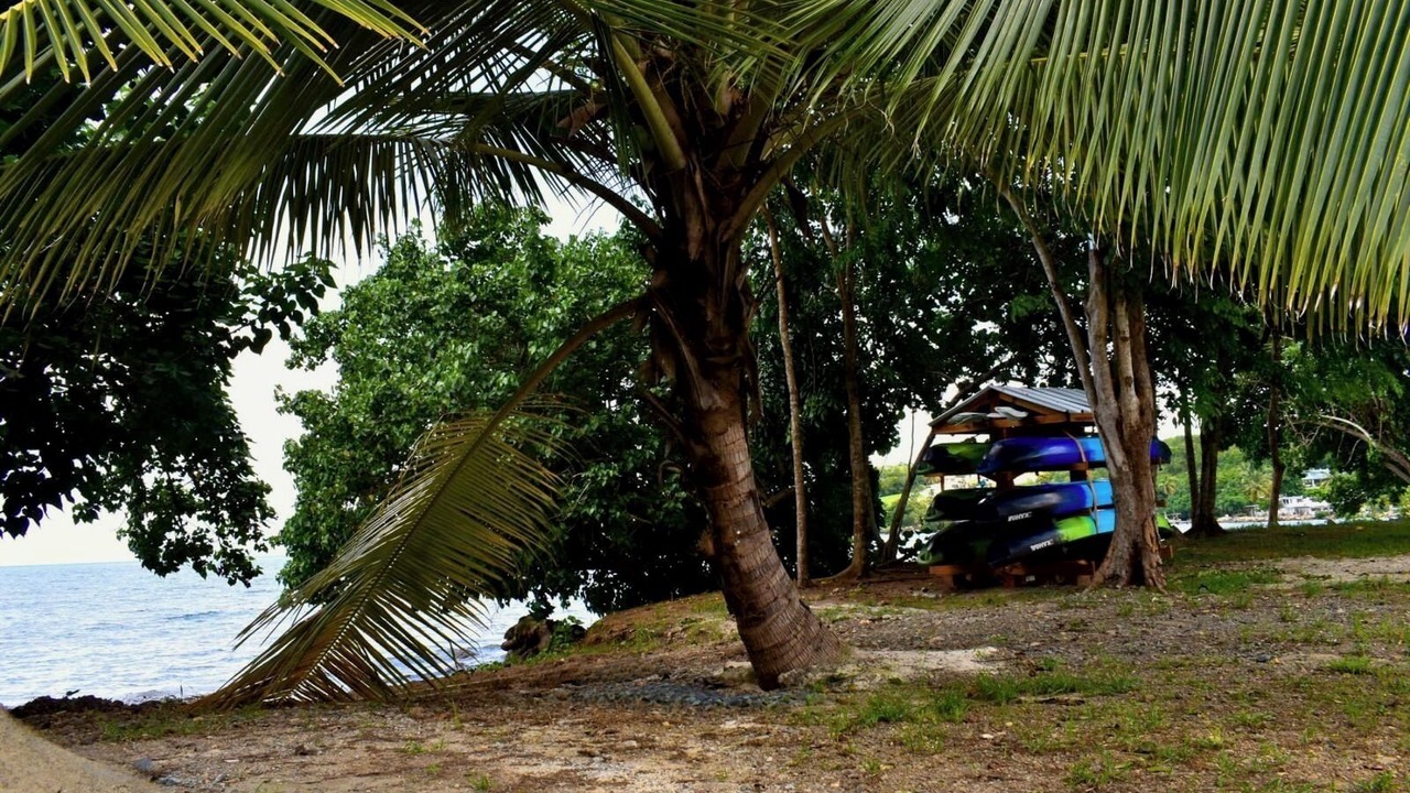 Photo of Others in Guanajibo