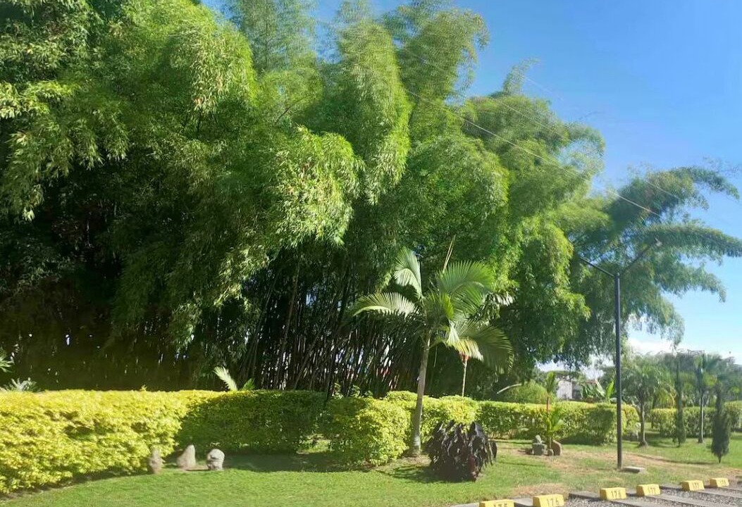 Photo of Outdoor in La Tebaida