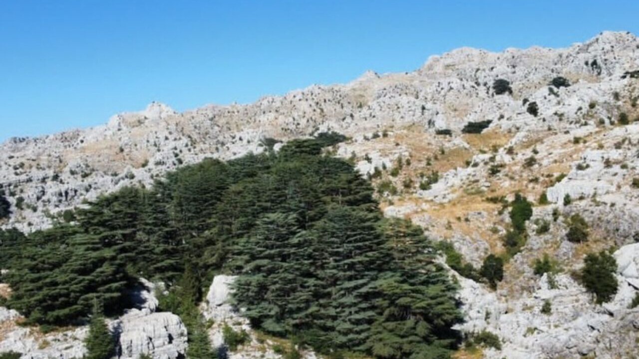 Photo of Others in Kfardebian