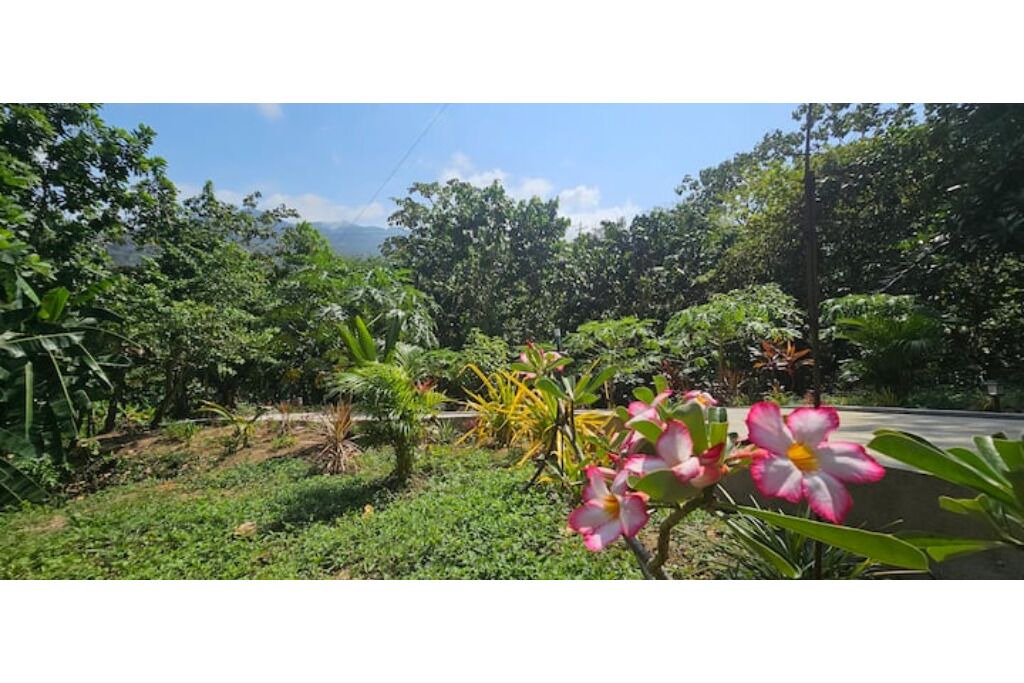Photo of Outdoor in Comuna 4