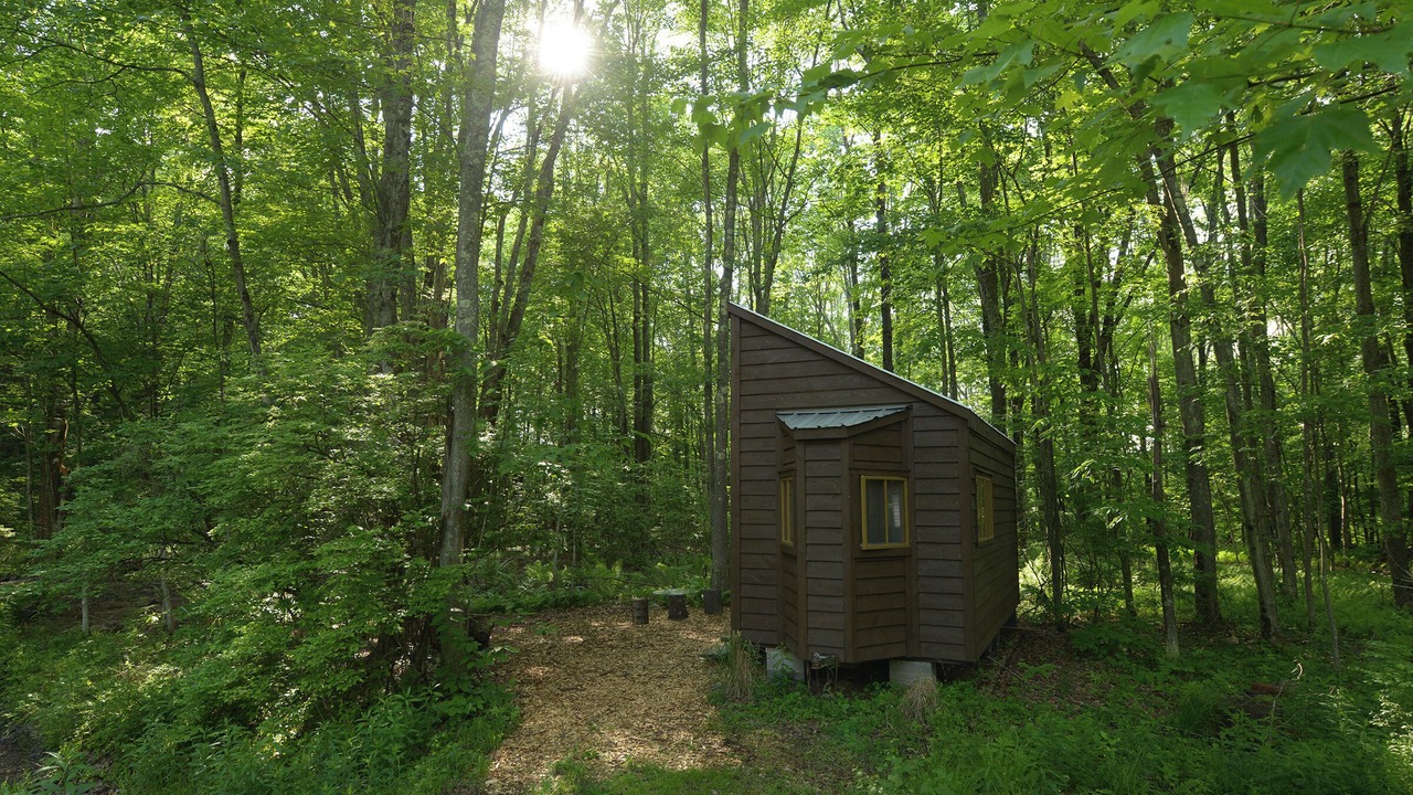 Photo of Outdoor in Woodridge