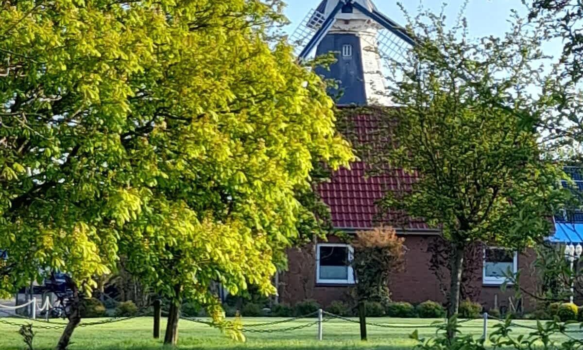 Photo of Others in Ditzum