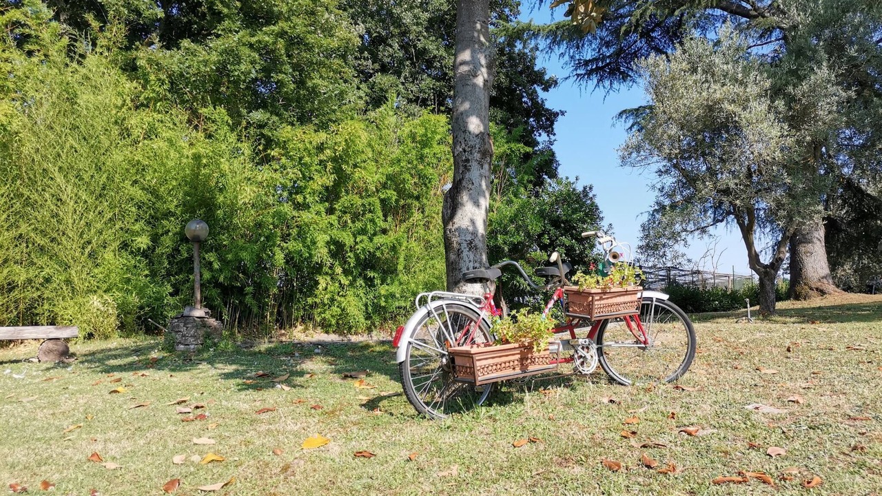 Photo of Outdoor in Monte Caminetto