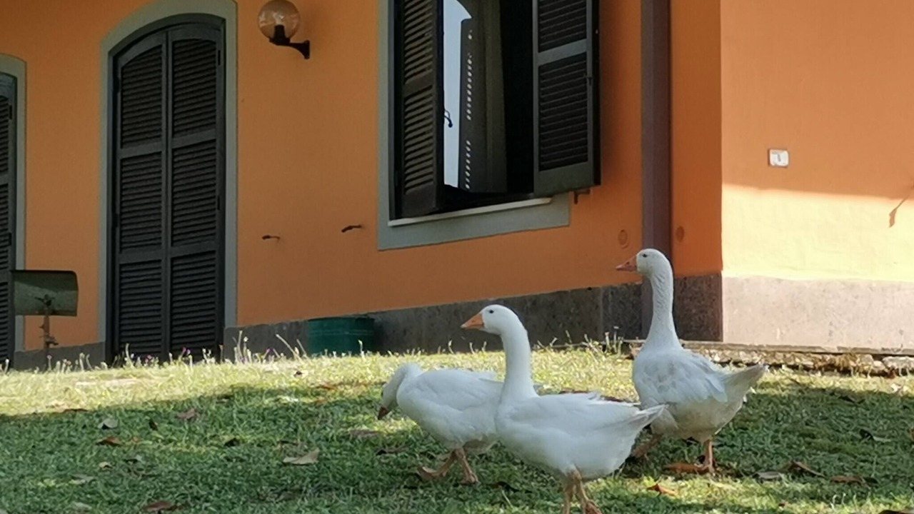 Photo of Outdoor in Monte Caminetto