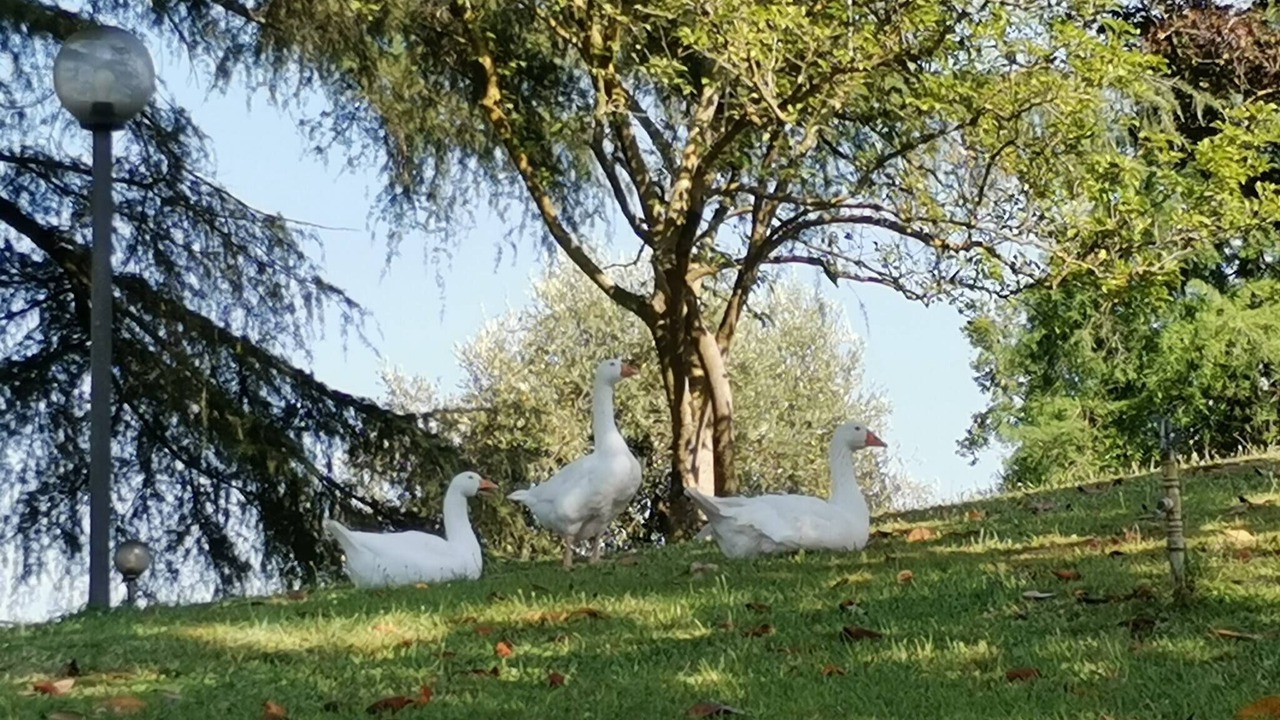 Photo of Outdoor in Monte Caminetto