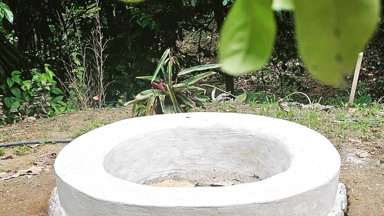 Photo of Outdoor in Canaveral