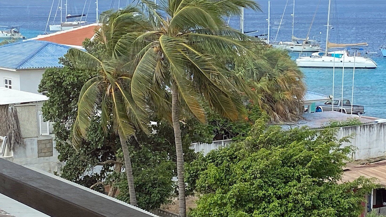 Photo of Outdoor in Playa