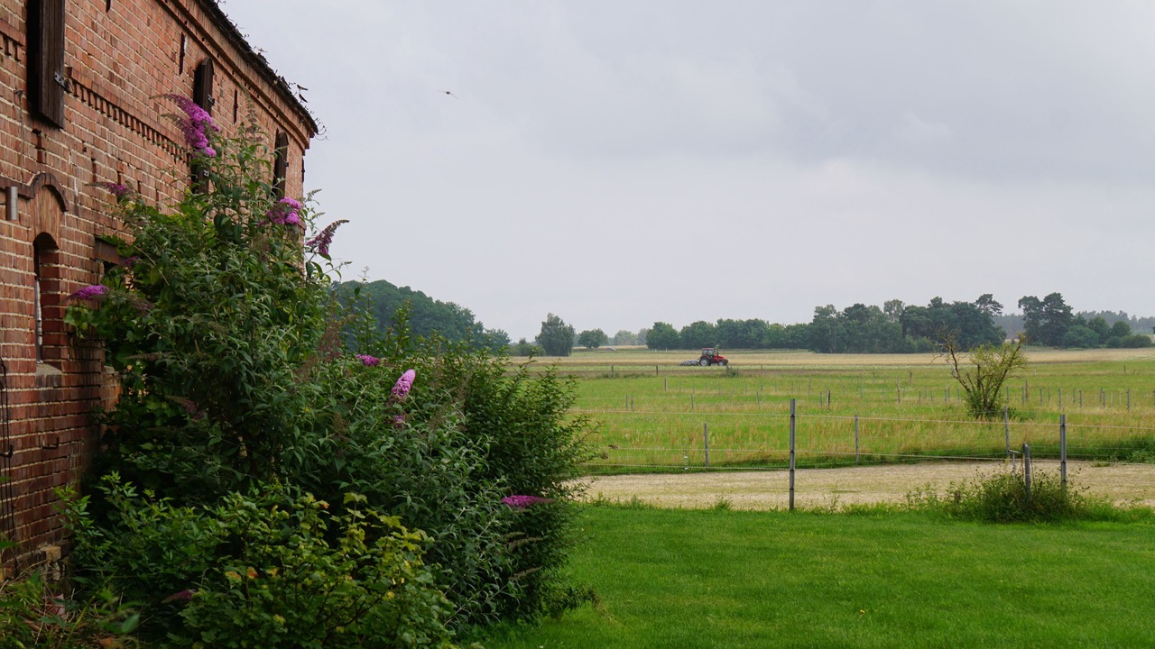 Photo of Others in Gross Briesen