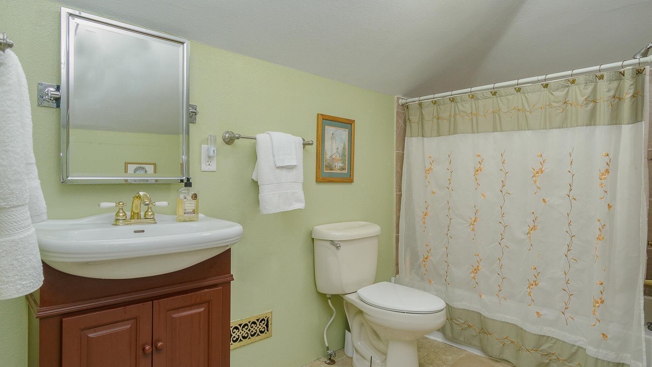 Photo of Bathroom in Newaygo