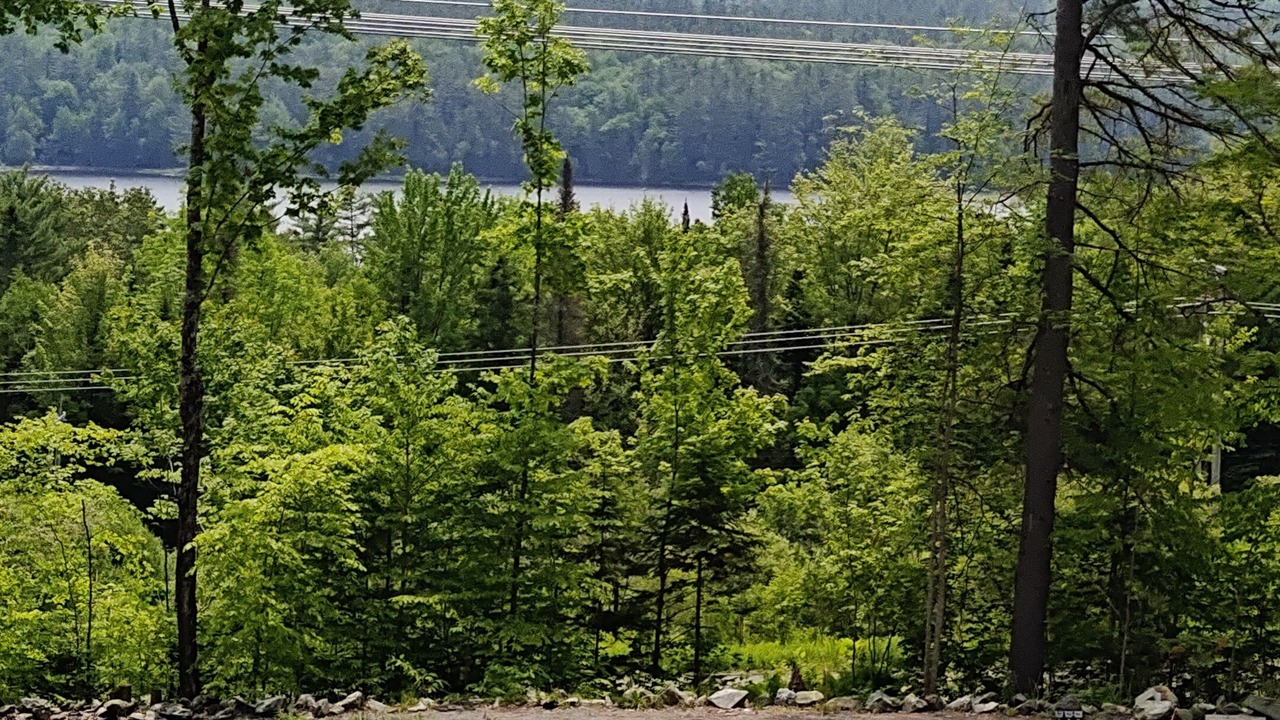 Photo of Others in Lower Waterford