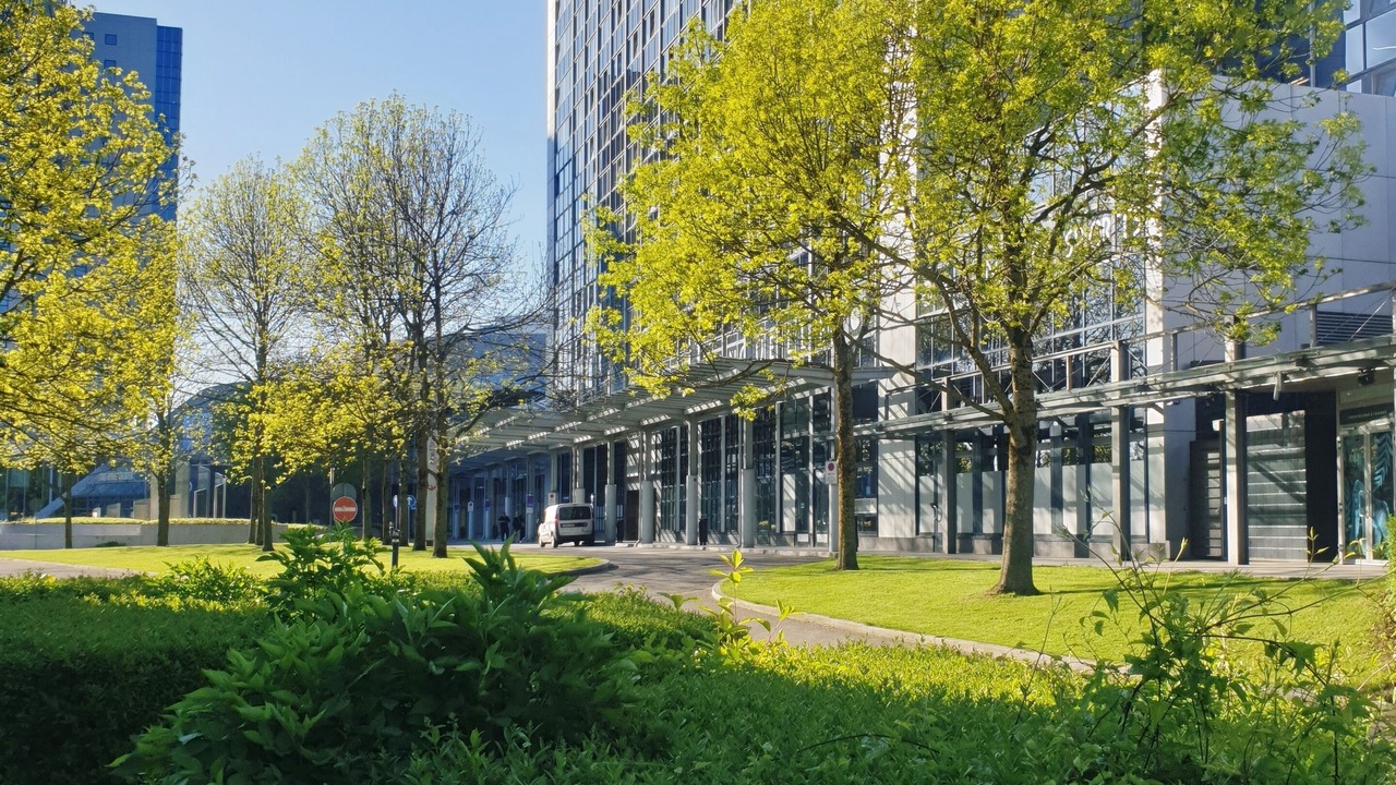 Photo of Others in Sternhaule