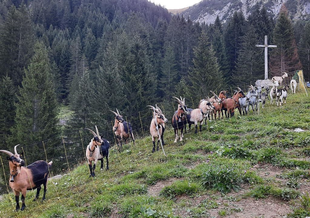 Photo of Others in Fontanella