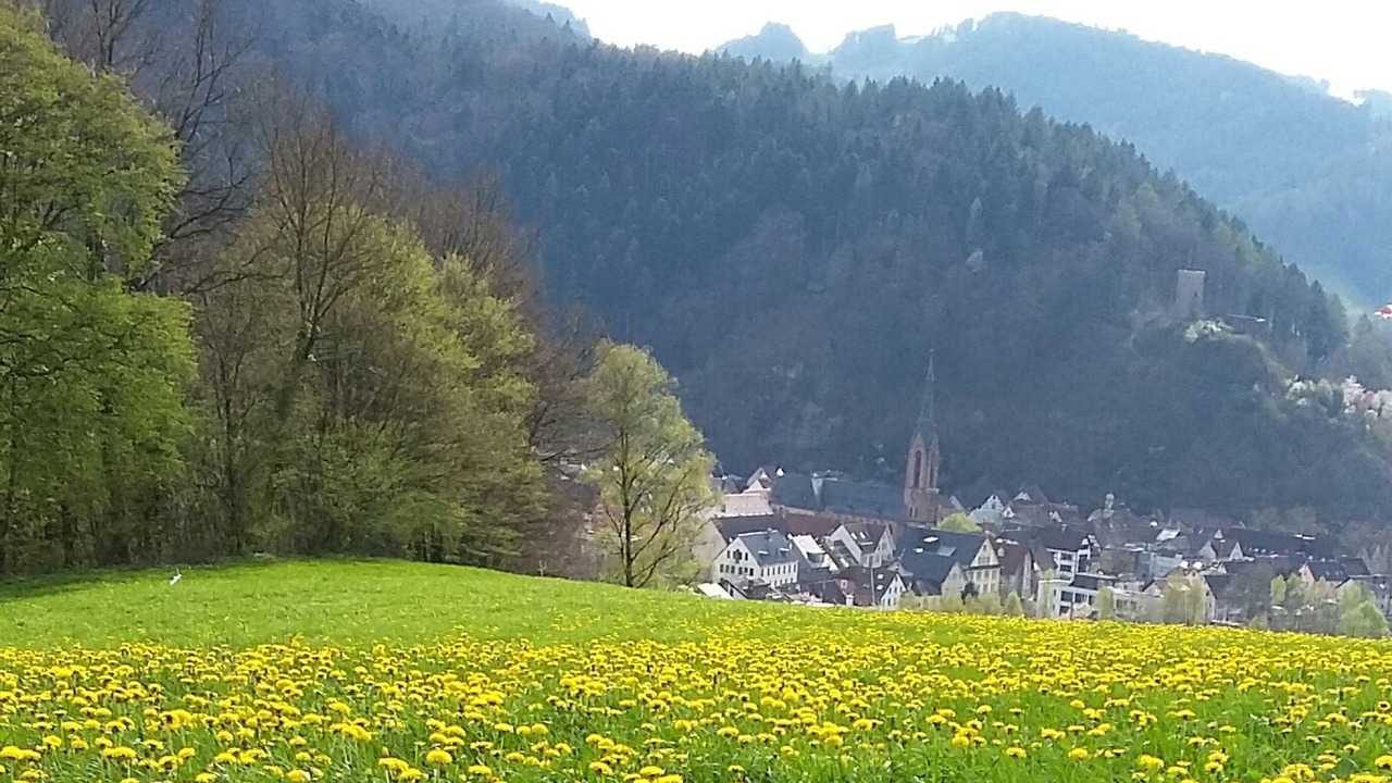 Photo of Others in Hausach