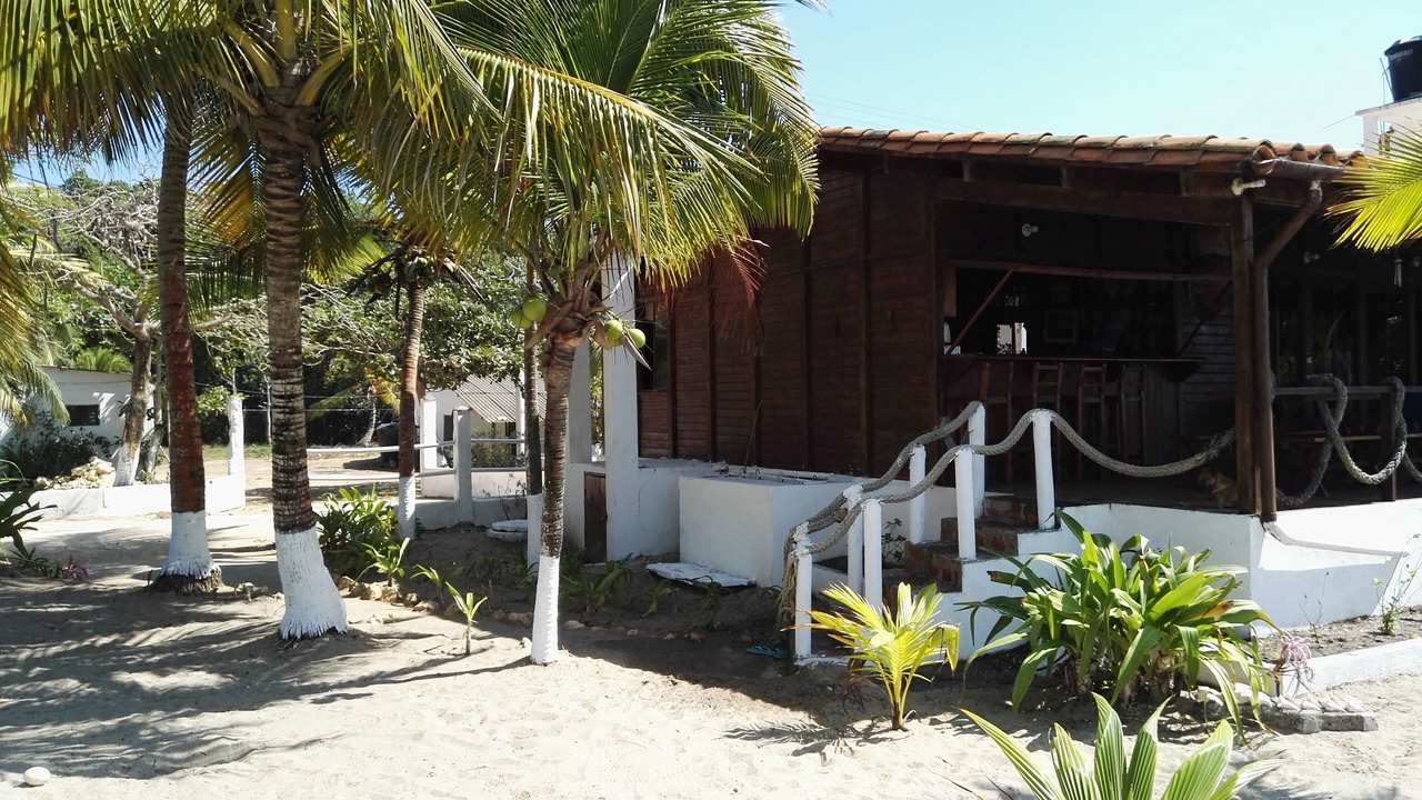 Photo of Outdoor in Tolu