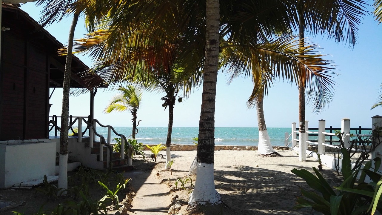 Photo of Outdoor in Tolu