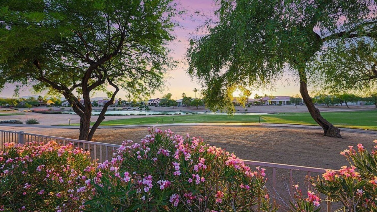 Photo of Outdoor in Desert Palms