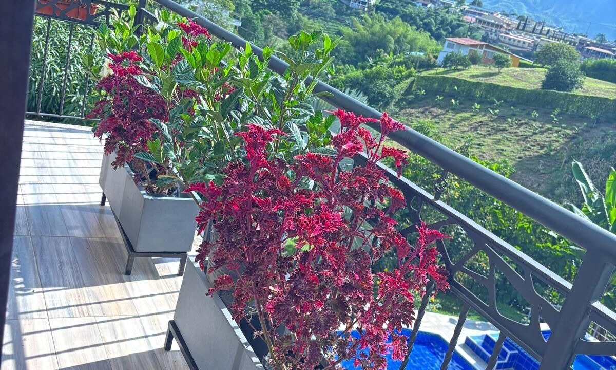 Photo of Outdoor in Pereira