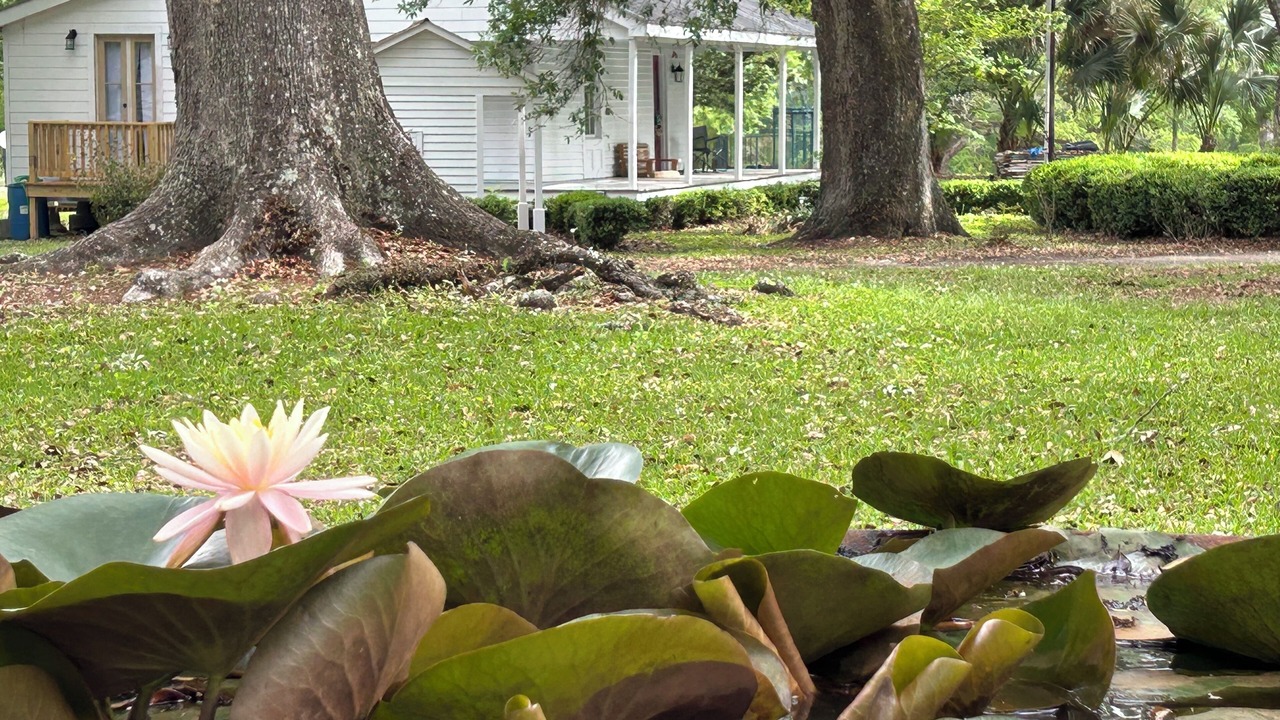 Photo of Outdoor in Jeanerette