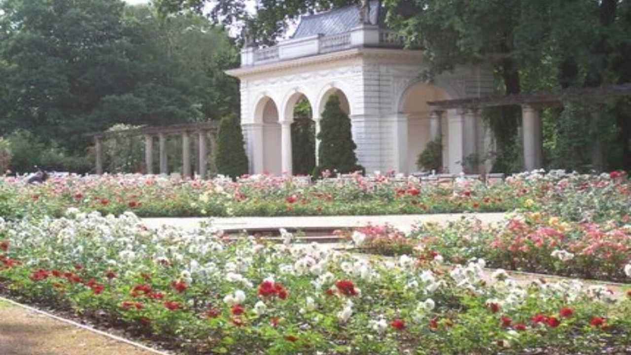 Photo of Outdoor in Prenzlauer Berg
