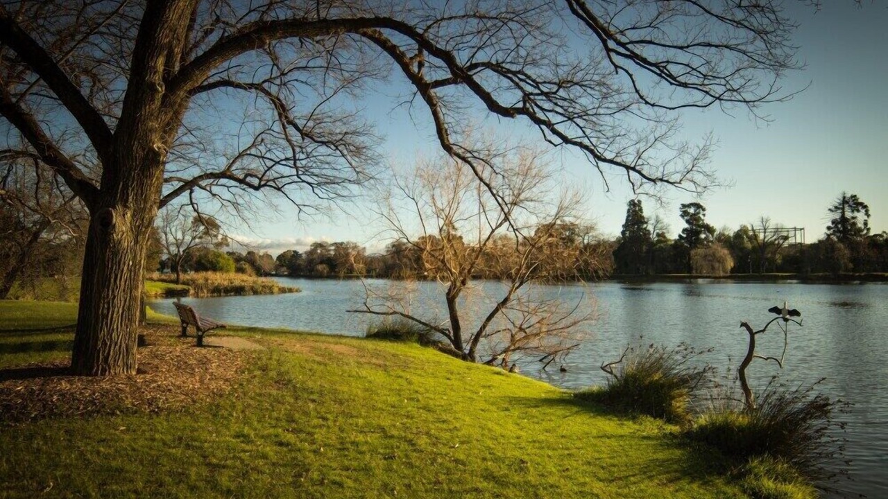 Photo of Outdoor in Kennington